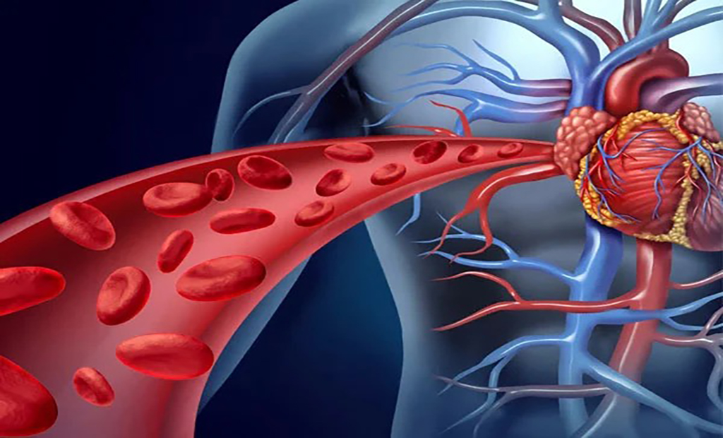 نقش ماساژ در بهبود گردش خون محیطی